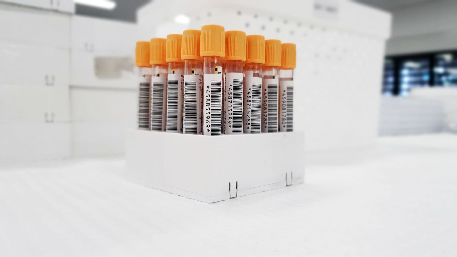 Blood sample tubes with barcode labels arranged in a laboratory rack